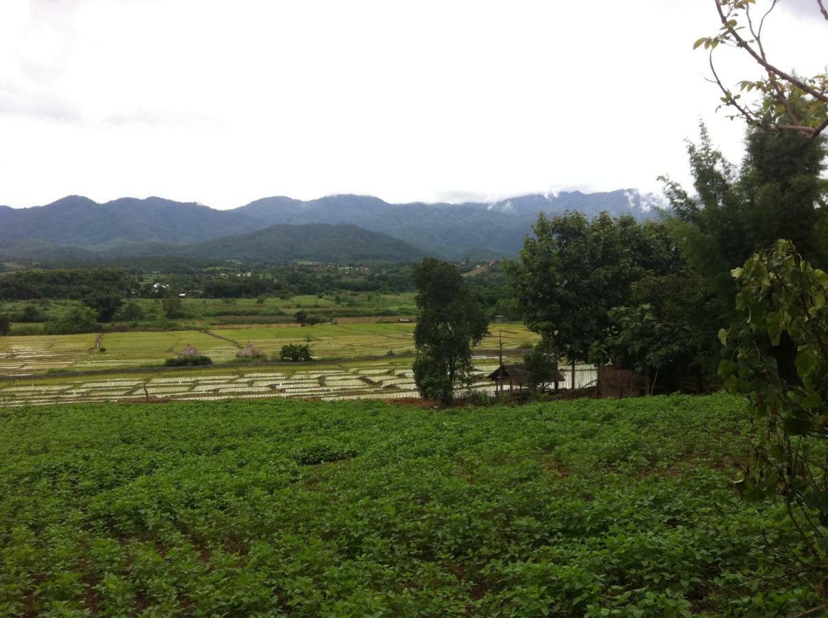 Chang Pai Hill (Adults Only) Luaran gambar